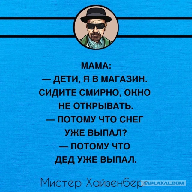 Так себе картинки 22.12.24