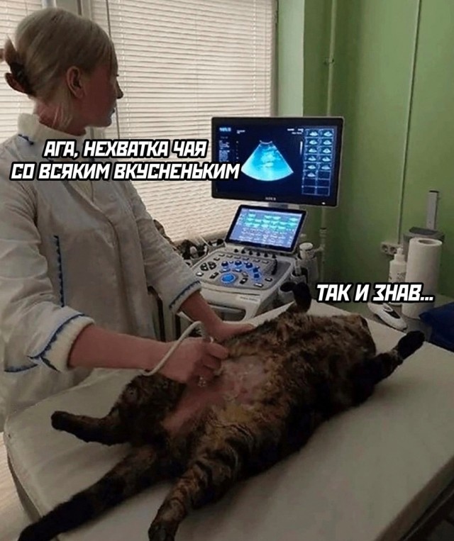 Так себе картинки 16.01.25