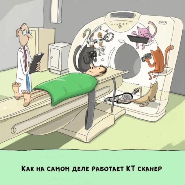 Прикольные и просто красивые картинки 17.01.2025