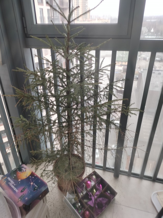 Всё,сдаюсь....