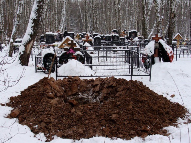 Вот и вся жизнь незаметно пролетела