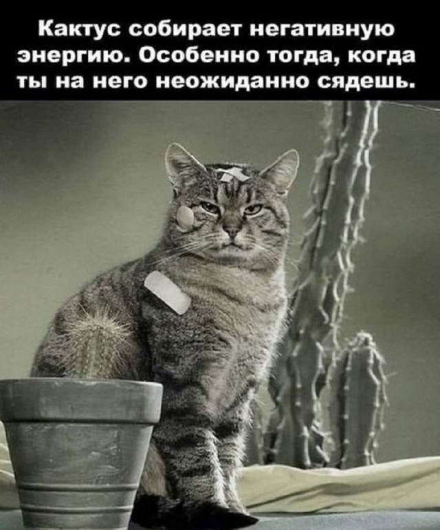 Так себе картинки 22.03.25