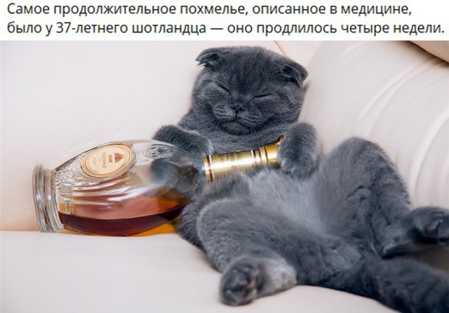 Пивная Пятничная подборка