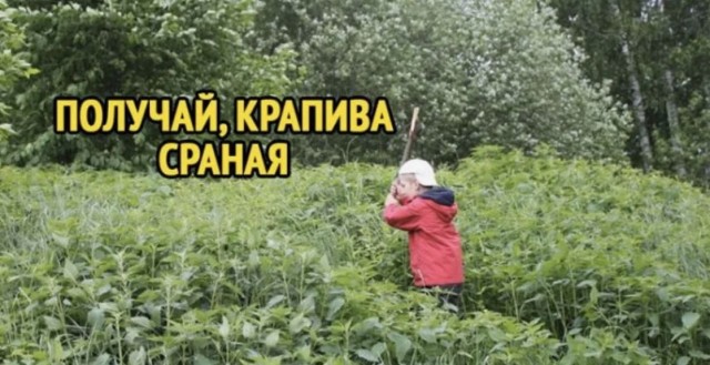В Сети нашли кладезь ностальгии: появился сайт, где собраны легендарные игры детства, и все они запускаются моментально прямо в браузере, без установки и ожиданий
