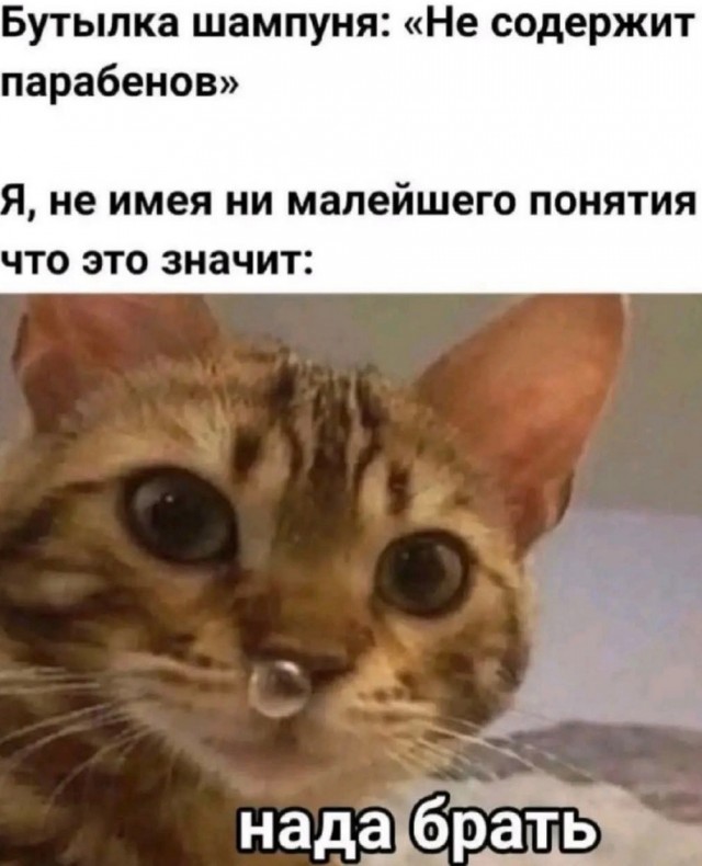 Кто имеет опыт покупки товаров на Wildberries?