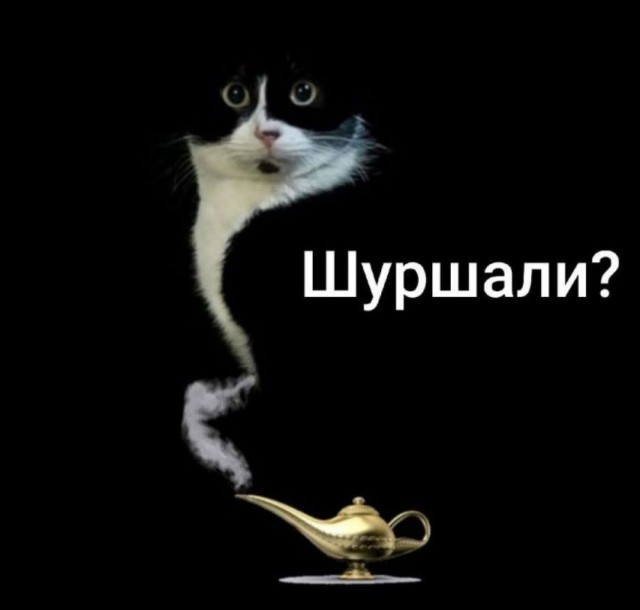 Так себе картинки 07.07.25