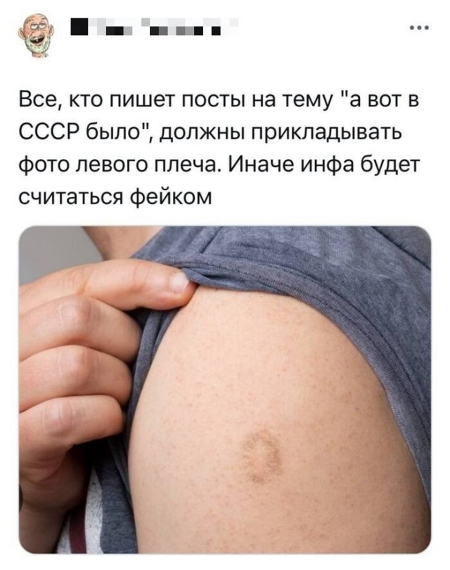 Весёлый полтишок 09.07.25
