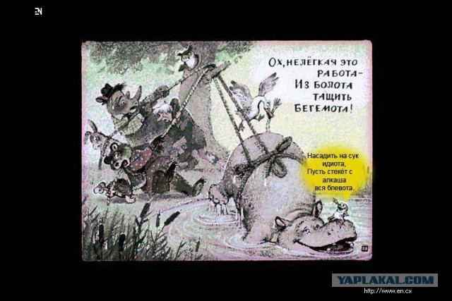 Вот запой.