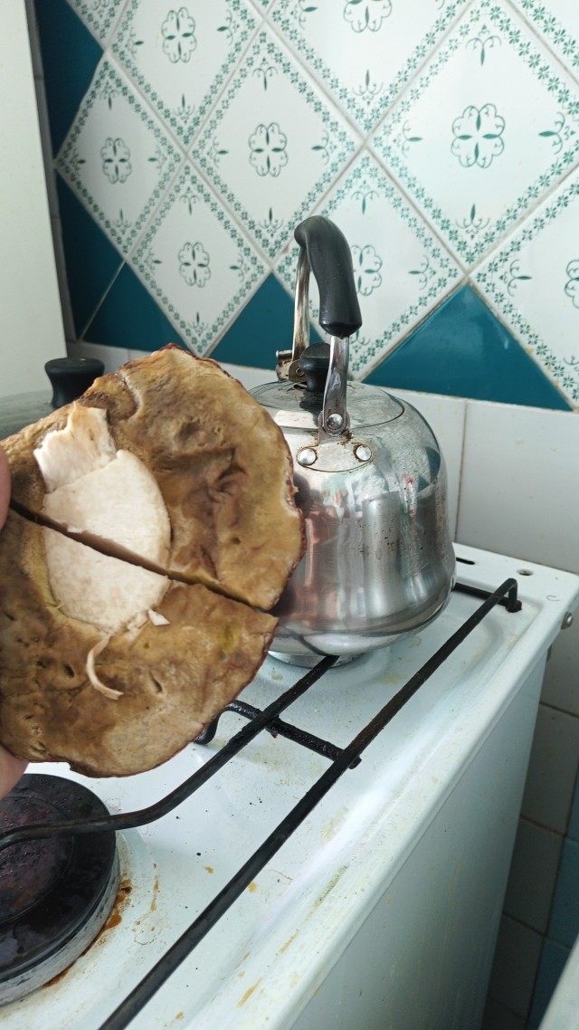 Белый царь!