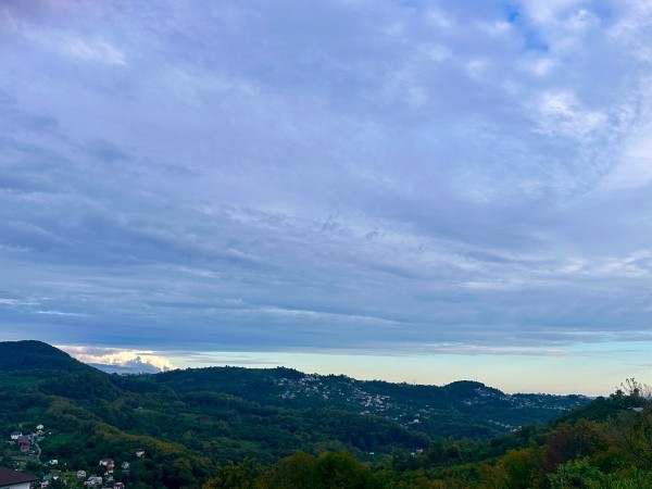 Голубцы. Ленивые и в перцах тоже …