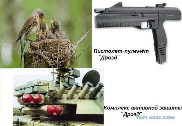 Русское оружие - оружие добра и радости!