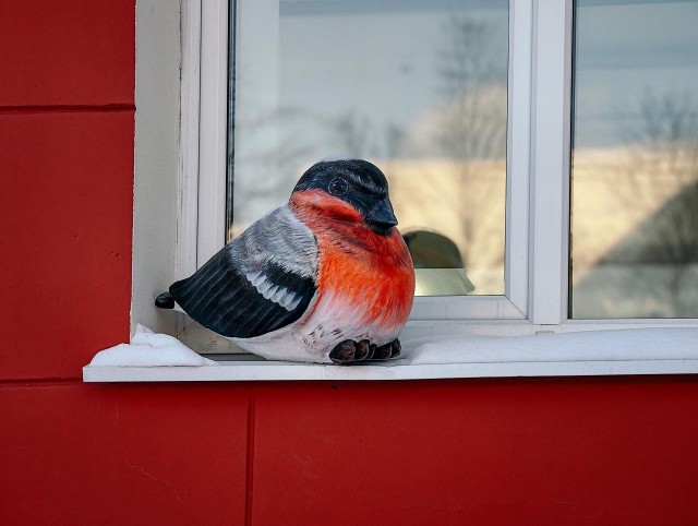 Другой Кировск