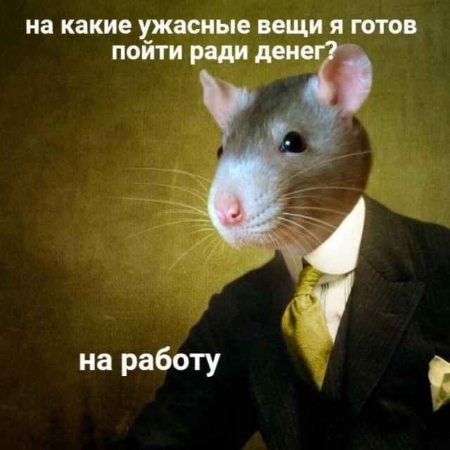 Картинки для деградации 183 (разной степени свежести)