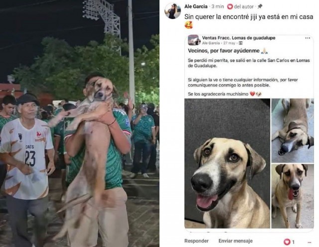 Собака отсутствовала дома целый месяц, но вчера хозяева нашли её, заметив в прямом эфире во время празднования победы Мексики