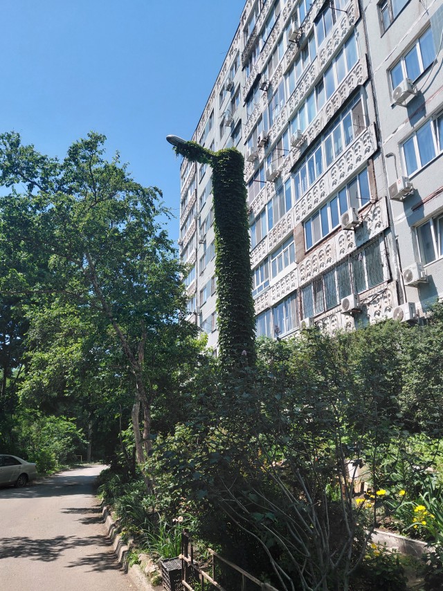 Школа там