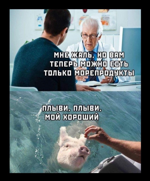 Веселые картинки в последний день лета (31.08)