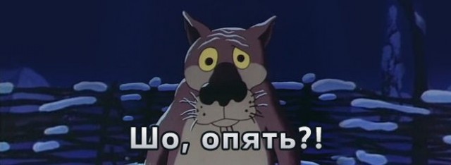 Манул Тимофей начал процесс зажировки