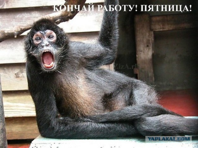 Доброе утро