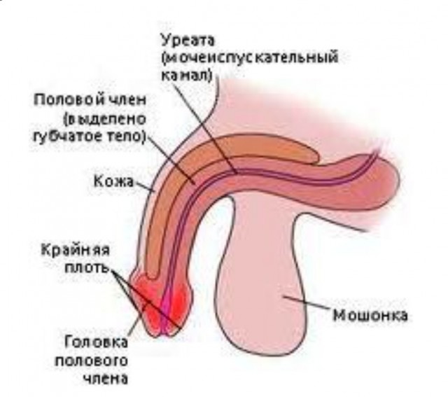 Прошу подтвердить