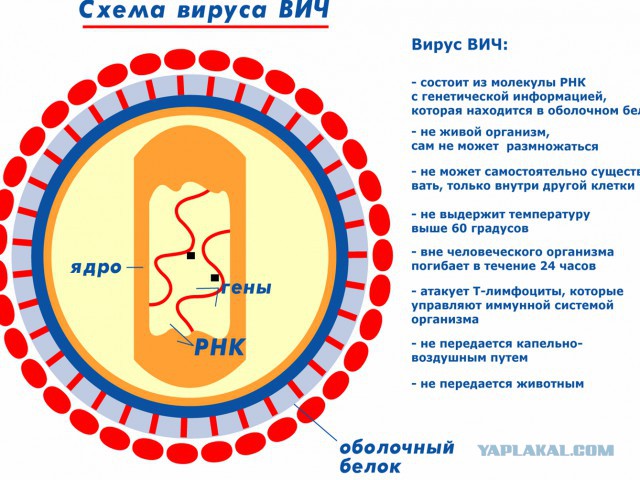 Правда как она есть(дурка плачет и скучает)!