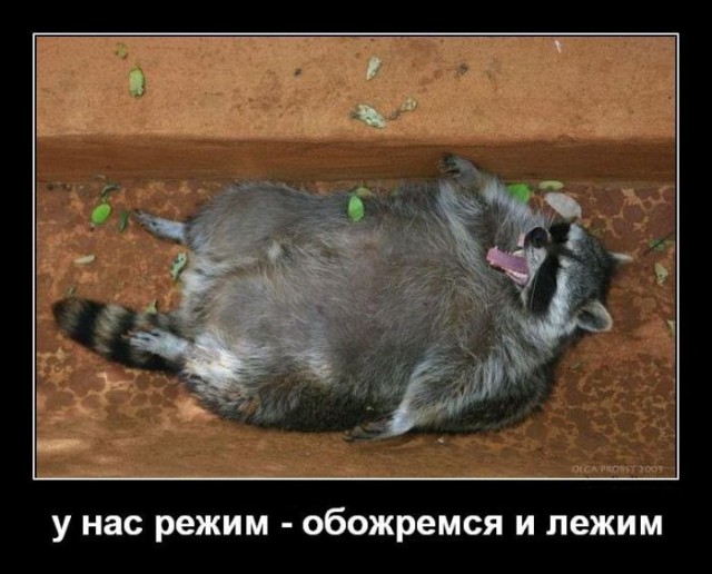 А ведь только половина праздников прошло