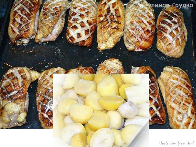 Утиные грудки