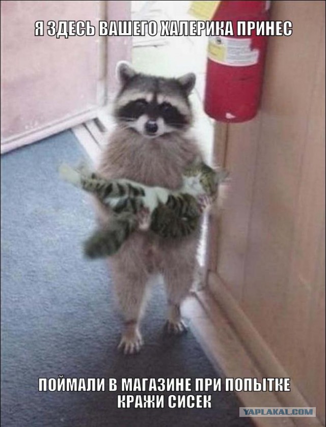 Давайте знакомиться