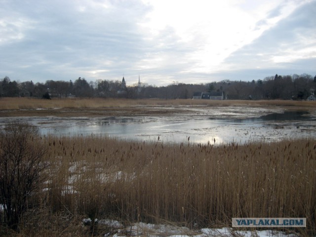 Деревенская Америка