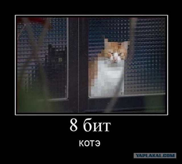 Демотиваторы.