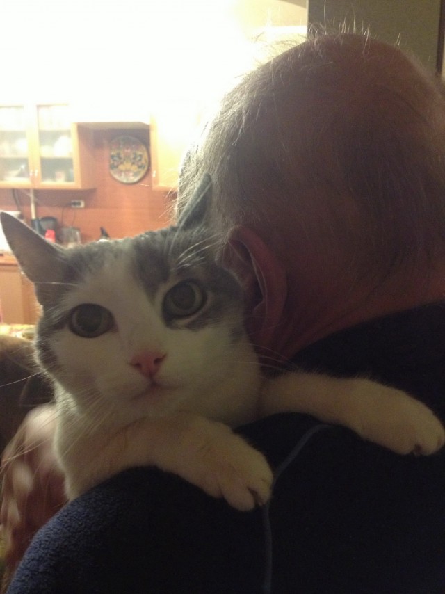Котовторник 05.03.13