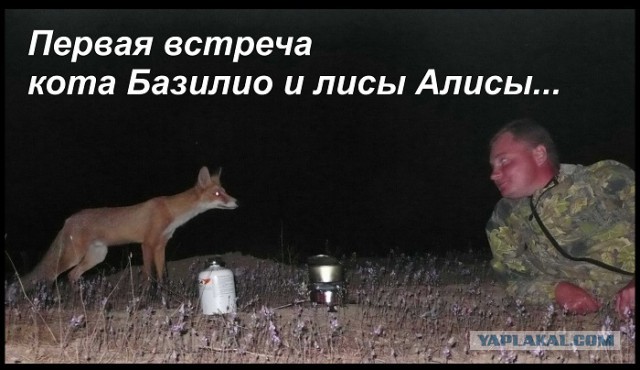 За#$ись отдохнули