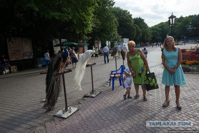 Железноводск захватили