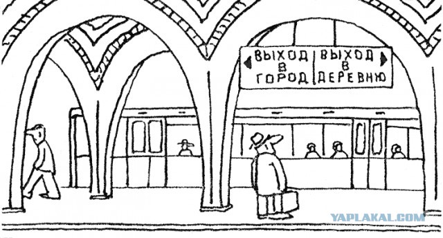 Карикатуры