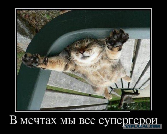 Весёлости