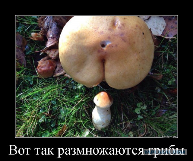Картинки разные