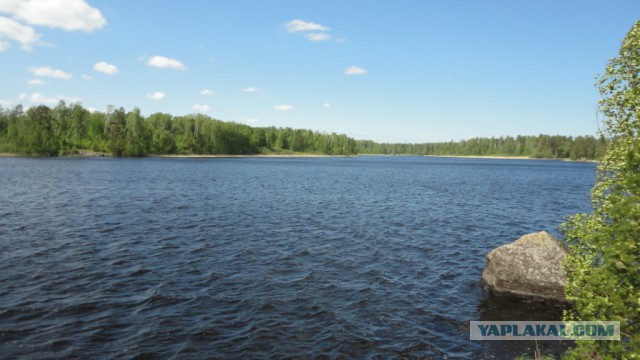 Вуокса 2015