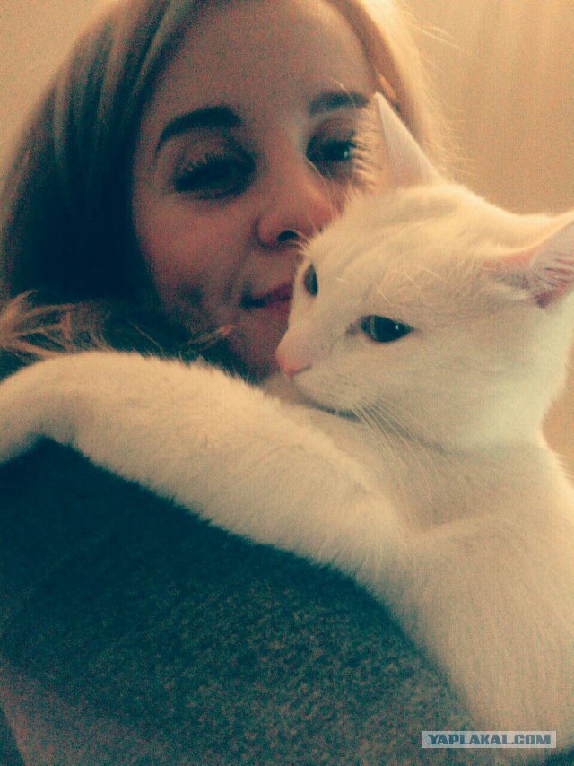 Пост невероятной кошачьей красоты. 25 фот.