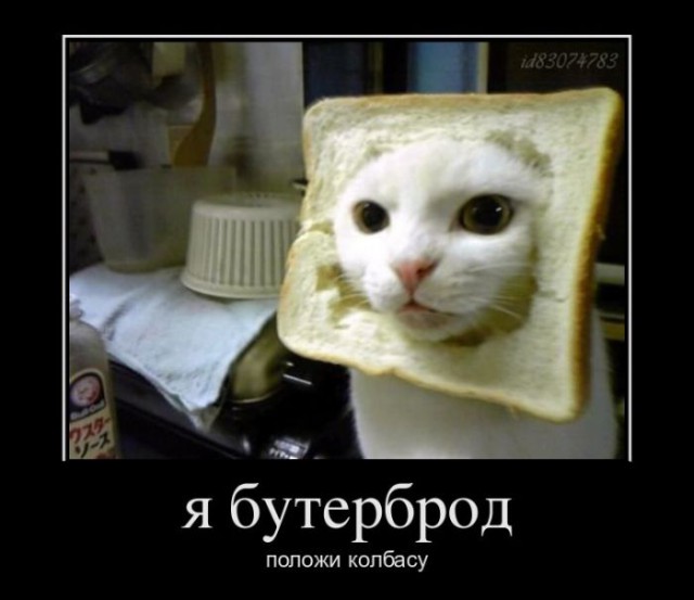 Веселые картинки