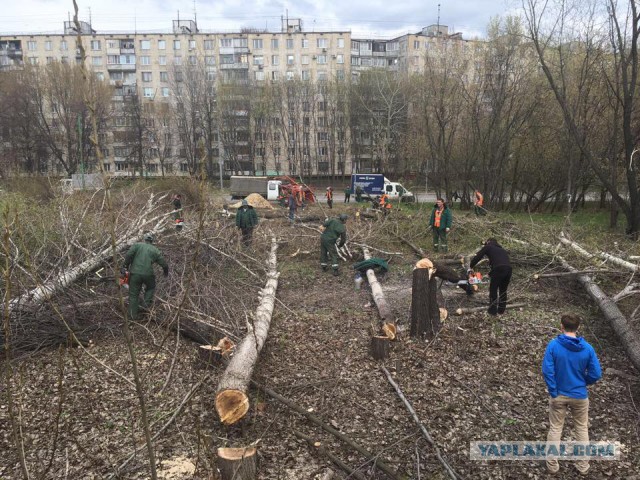 По поводу приюта Эко Вешняки....