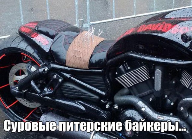 Подборка интересных и веселых картинок