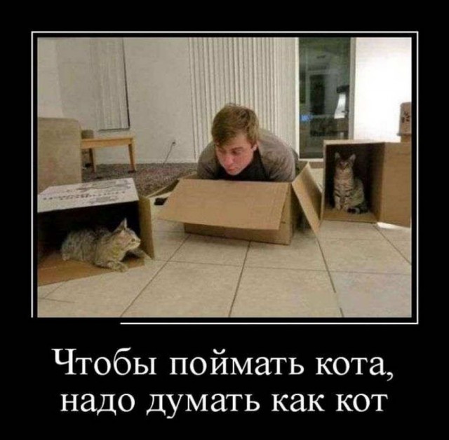 Картинки для настроения в пятницу.