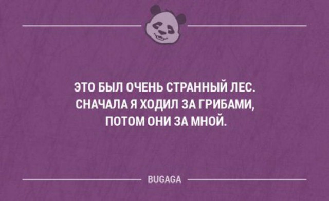 Антидепрессанты на понедельник.