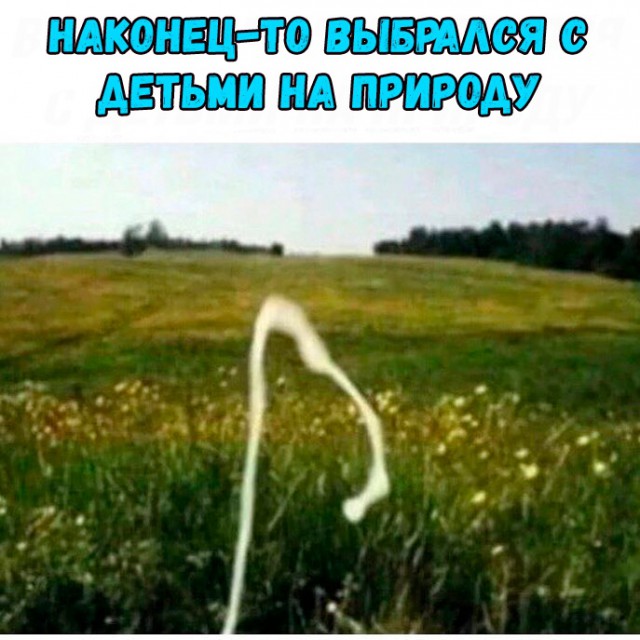 Есть немного чернушки. Надо?