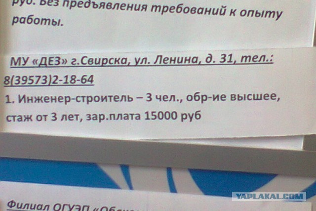 Аналитики объяснили причины кадрового голода в России