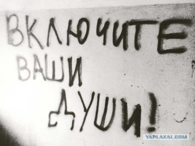 «Бродячие» философы: 17 глубокомысленных заметок в транспорте и на улицах