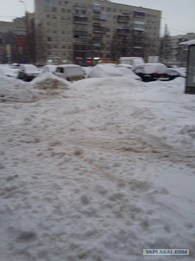 Что творится на дорогах Петербурга после снегопада