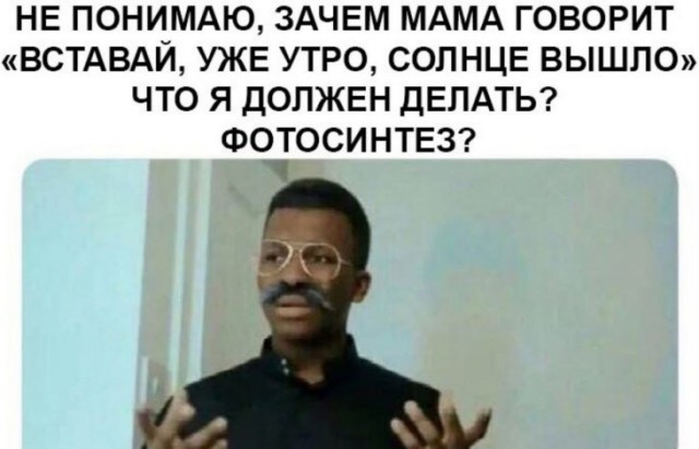 Немного картинок для настроения