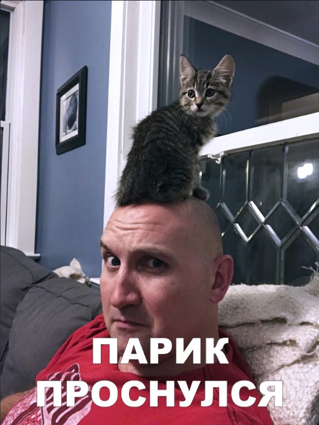 Нестандартный юмор