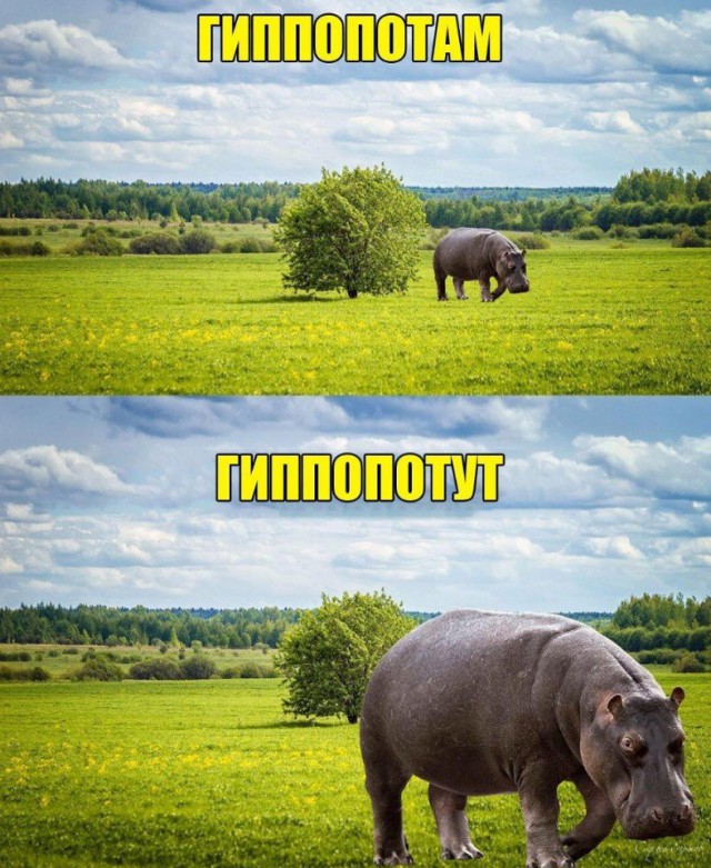 Не очень адекватный юмор