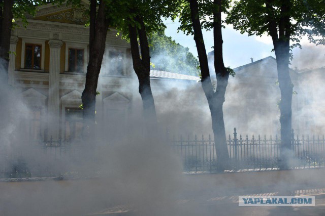 В Москве радикалы из «Ассоциации народного сопротивления» забросали дымовыми шашками резиденцию патриарха Кирилла
